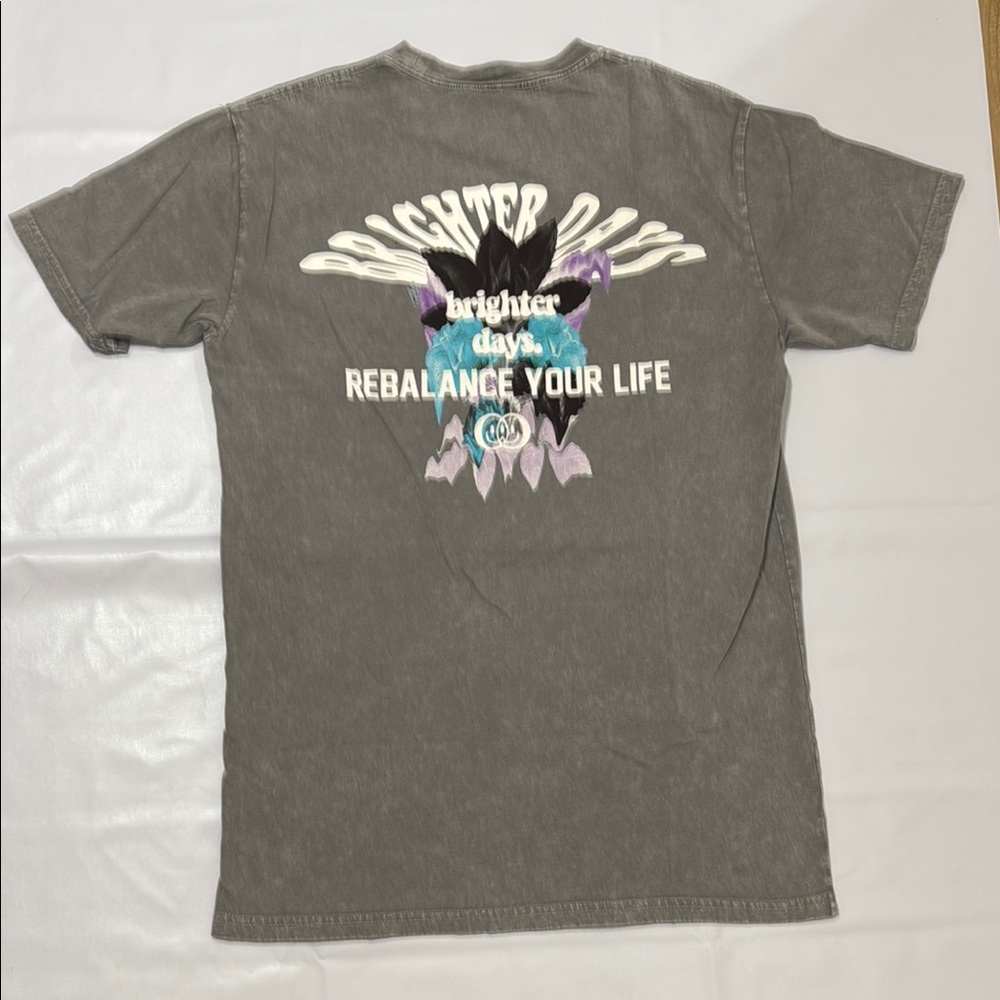 WASHED Gray T-Shirt by Brighter Days Size M New without tag. - Picture 4 of 5